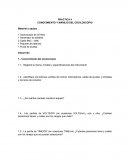 CONOCIMIENTO Y MANEJO DEL OSCILOSCOPIO