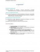 La Organización. Características de la organización formal