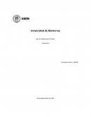 La técnica de Hele-Shaw, que se desarrolló entre 1897 y 1899