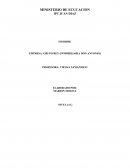 INFORME EMPRESA: GRUPO REY (INMOBILIARIA DON ANTONIO)