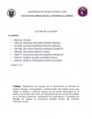Elaboración por equipo de un documento en formato de ensayo