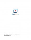 Análisis comparativo de las Teorías de las Organizaciones RESPONSABILIDAD SOCIAL CEMEX