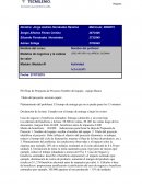 Proyecto: Modelos de negocios y la cadena de valor