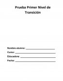 Prueba diagnostica Primer Nivel de Transición