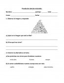 Prueba de ciencias naturales.