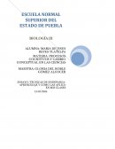 ENSAYO: TÉCNICAS DE ENSEÑANZA- APRENDIZAJE Y CÓMO LAS APLICO EN MIS CLASES