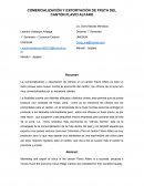 COMERCIALIZACIÓN Y EXPORTACIÓN DE FRUTA DEL CANTÓN FLAVIO ALFARO