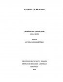 El Control y su Importancia