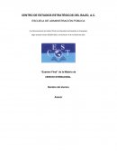 CENTRO DE ESTUDIOS ESTRATÉGICOS DEL BAJÍO, A.C. ESCUELA DE ADMINISTRACIÓN PÚBLICA