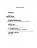 PROYECTO DE INVESTIGACION FORMATIVA TEORIA ORGANZIACIONAL