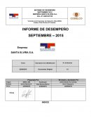 Modelo de informe de desempeño de empresa