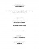 Las rutas de destinos de COOTRANSCHIPILIN