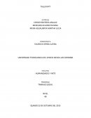 Programa trabajo social .¿Cómo puede ser el programa?