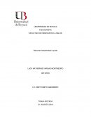 Resumen Modernidad Liquida