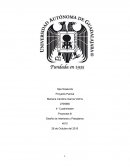 Proyectos: Diseño de Interiores y Paisajismo