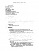 Informe Test dibujo de la familia