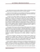 DESARROLLO LOS PUEBLOS INDÍGENAS DE MÉXICO