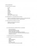 GUION DE OBSERVACION CARACTERISTICAS DE LA ESCUELA