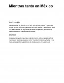 Mientras tanto en mexico