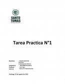 TAREA EJERCICIO PRÁCTICO N° 1 Estadistica