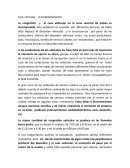 Caos vehicular el embotellamiento