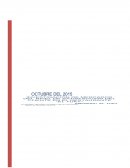 Informe ejecutivo empresa El Tuky