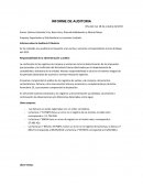Informe sobre la Auditoria Tributaria