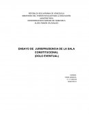 ENSAYO DE JURISPRUDENCIA DE LA SALA CONSTITUCIONAL