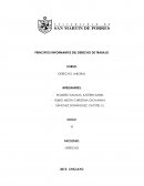 PRINCIPIOS INFORMANTES DE DERECHO LABORAL Y VINCULACIÓN CON INSTITUCIONES PROCESALES