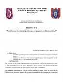 PRÁCTICA N° 3 “Transferencia de material genético por conjugación en Escherichia coli”
