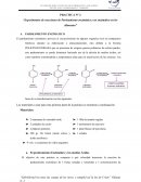 Experimentos de reacciones de Pardeamiento enzimático y no enzimático en los Alimentos