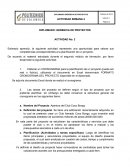 Actividad de gerencia de proyectos