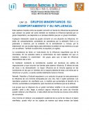 CAP. 25 GRUPOS MINORITARIOS: SU COMPORTAMIENTO Y SU INFLUENCIA