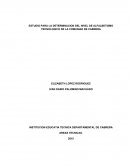 TEMA: MONOGRAFIA-CORRECIONES