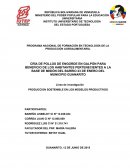 CRÍA DE POLLOS DE ENGORDE EN GALPÓN PARA BENEFICIO DE LOS HABITANTES PERTENECIENTES A LA BASE DE MISIÓN DEL BARRIO 23 DE ENERO DEL MUNICIPIO GUANARITO
