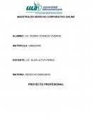 PROYECTO PROFESIONAL DERECHO CORPORATIVO ONLINE