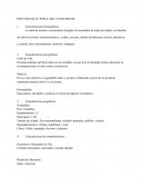 IDENTIFICAR EL PERFIL DEL CONSUMIDOR