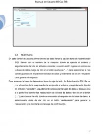 Manual de Usuario Sistemas. Página 13