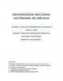 Las Normas Internacionales de Auditoria ACTIVIDAD