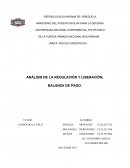 ANÁLISIS DE LA REGULACIÓN Y LIBERACIÓN, BALANZA DE PAGO