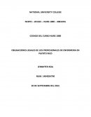 OBLIGACIONES LEGALES DE LOS PROFESIONALES DE ENFERMERIA EN PUERTO RICO