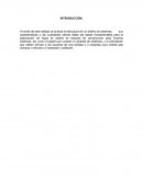 Diseño de sistemas Repuestitos LTDA