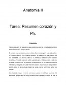 Anatomia II Tarea: Resumen corazón y Ph