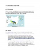 Leishmania donovani - Epidemiologia