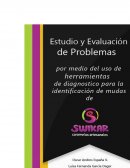 DESCRIPCIÓN ANALÍTICA DE LA GESTIÓN ESTRATÉGICA Y OPERACIONAL DE SWIKAR