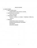 ANALISIS LITERARIO DEL LIBRO LA OCULTA DE HECTOR ABAD FACIOLINCE