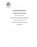 Evolución y Organización del Derecho Civil