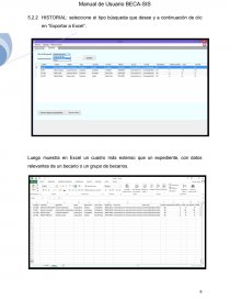 Manual de Usuario Sistemas. Página 10