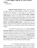 Modelo de demanda de divorcio formato