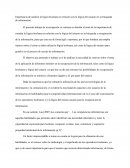 Importancia de analizar la lógica booleana en relación con la lógica del usuario en su búsqueda de información.